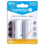 Акумулятор C R14 Everactive 5000 mah Ready to use (ціна за 1 шт.)